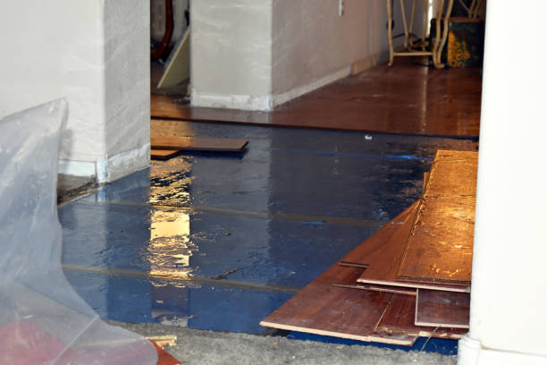 Professional Basement Flood Cleanup technician working in Stotts City, MO